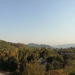 为底道理