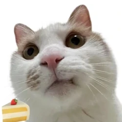 丿dokiiiii